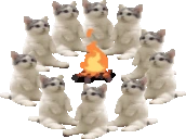 catsCamp emote