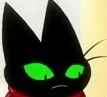 cat_lookin_down emote