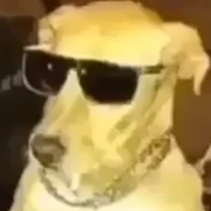 thedangerousbros avatar