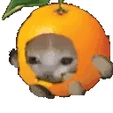 orangeCatRun emote
