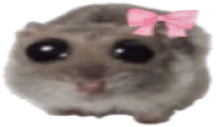ohCute emote