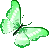 green_butterfly emote
