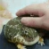 petfroge emote