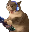 gaming_cat emote
