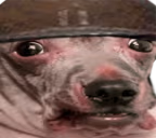 WAR emote