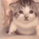 Explosion emote