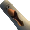 Mine_Seagull emote