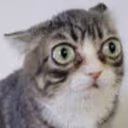 AlrightWHAT emote