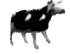 vaca emote