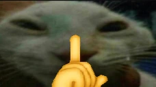 shdd emote