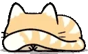 catShy emote