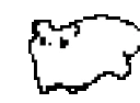 rollcat emote