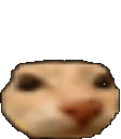 doseBounce animated emote