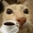dosecafe emote