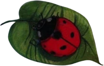 ladybug_leaf emote