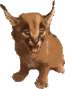 floppacute emoji