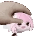 PETTHEBEAN emote