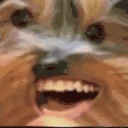 BBVibE emote