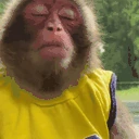 blin emote