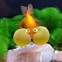 goldfish emote
