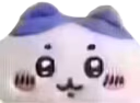 bro emote