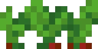 beetroots_stage2 emote