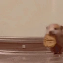 cookie emote