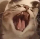 CE_Rage emote