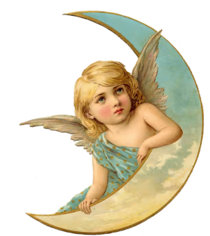 angel_moon sticker