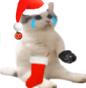 catsittingverycomfortablebuttheygotcoalforchristmaswhyweretheyon emoji