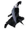 sephPls emote