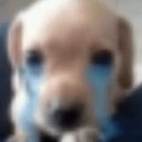 sadPerrito emote