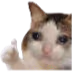 CatThumbsup_3 emote