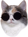 chillcat emote