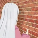 donoWall emote