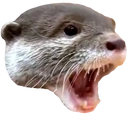 OtterPog emote