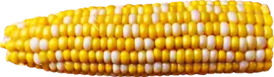 Corn emote