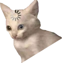 loading_cat_meme_2 emote