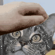 Eko_Pat