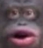 woooh emote