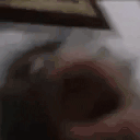 monky animated emote