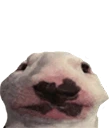 walterbonk emote