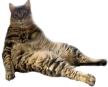 Chompeh emote
