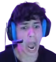 ronWHAT emote