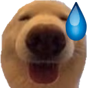 dawg_eh emote
