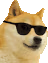 CoolDoge emote