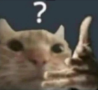 dude static emote