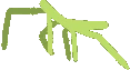 StickBugDance emote
