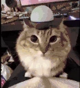 alarm emote