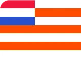 flag_or emoji